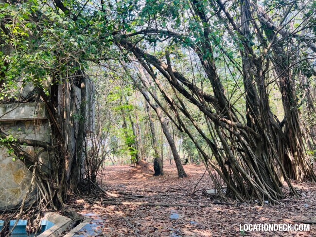 Country Garden Forest - Pathum Thani, Thailand Filming Location