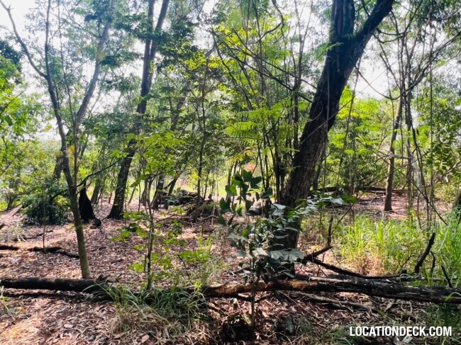 Country Garden Forest - Pathum Thani, Thailand Filming Location