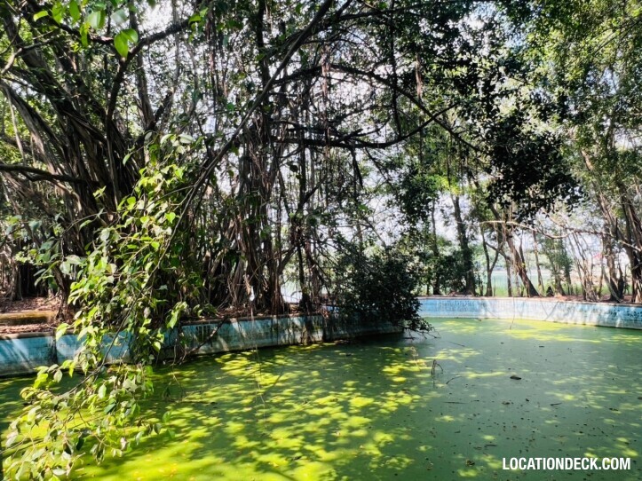 Country Garden Forest - Pathum Thani, Thailand Filming Location