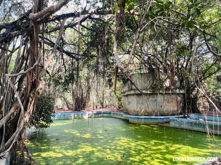 Country Garden Forest - Pathum Thani, Thailand Filming Location