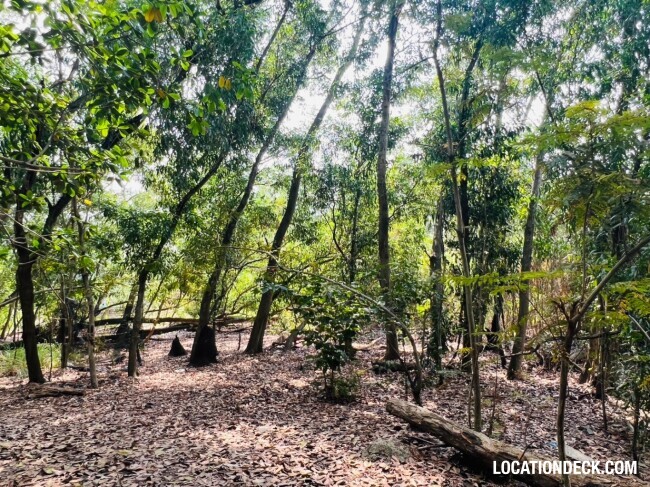 Country Garden Forest - Pathum Thani, Thailand Filming Location