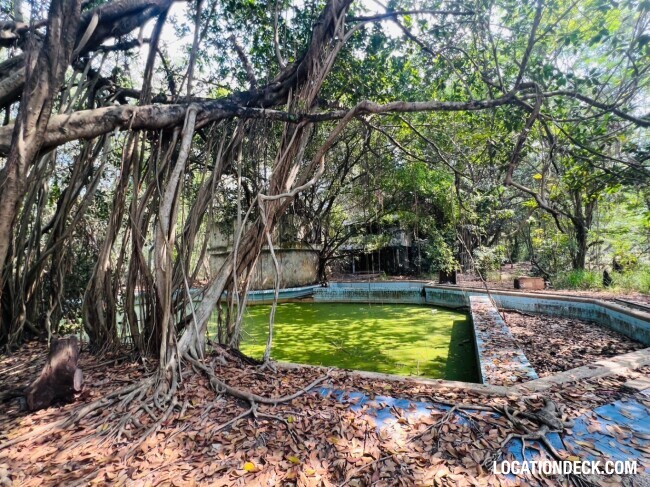 Country Garden Forest - Pathum Thani, Thailand Filming Location