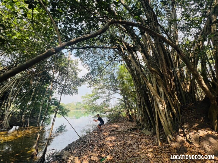 Country Garden Forest - Pathum Thani, Thailand Filming Location