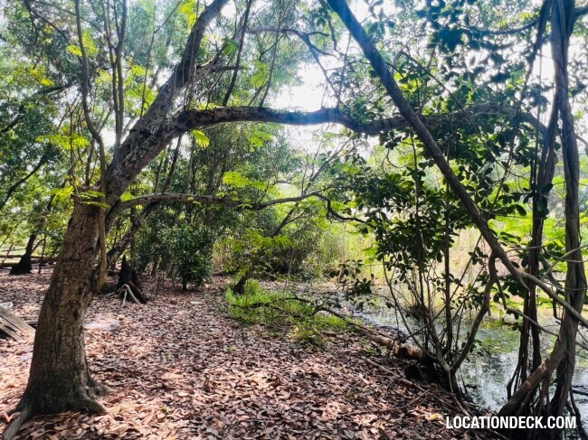 Country Garden Forest - Pathum Thani, Thailand Filming Location
