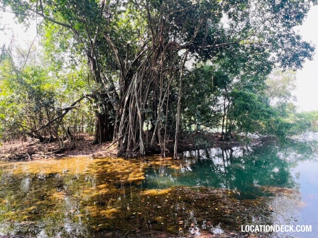 Country Garden Forest - Pathum Thani, Thailand Filming Location