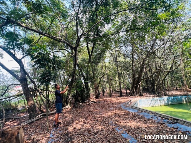 Country Garden Forest - Pathum Thani, Thailand Filming Location