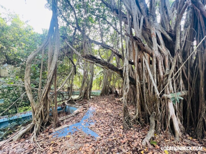 Country Garden Forest - Pathum Thani, Thailand Filming Location