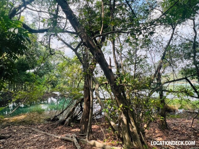 Country Garden Forest - Pathum Thani, Thailand Filming Location