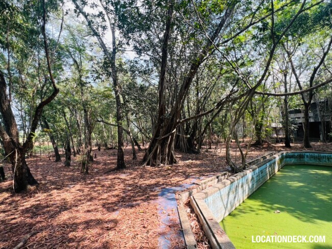 Country Garden Forest - Pathum Thani, Thailand Filming Location