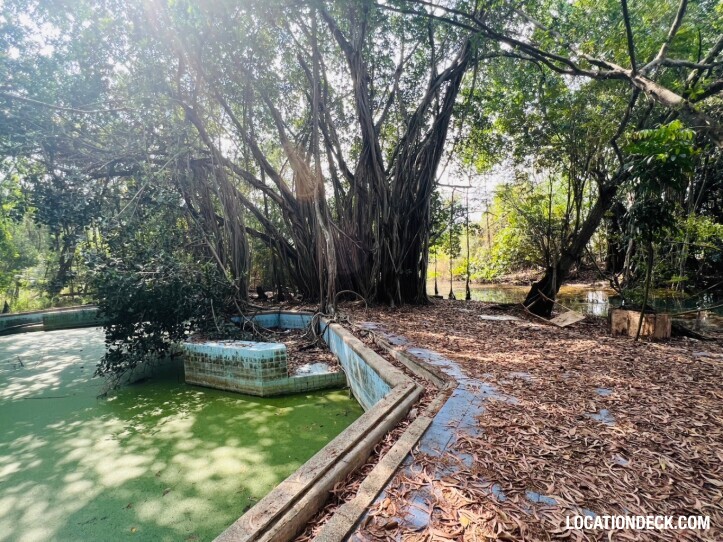 Country Garden Forest - Pathum Thani, Thailand Filming Location