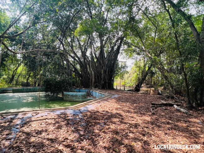 Country Garden Forest - Pathum Thani, Thailand Filming Location