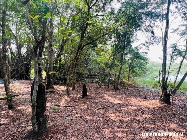 Country Garden Forest - Pathum Thani, Thailand Filming Location