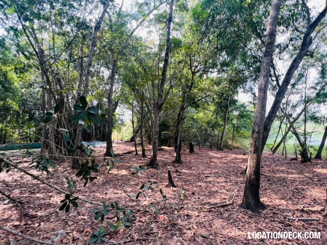 Country Garden Forest - Pathum Thani, Thailand Filming Location