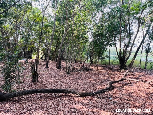 Country Garden Forest - Pathum Thani, Thailand Filming Location