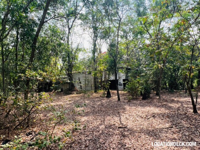 Country Garden Forest - Pathum Thani, Thailand Filming Location