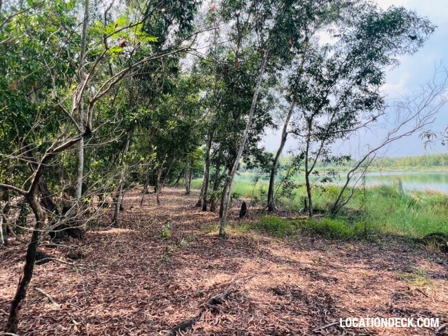Country Garden Forest - Pathum Thani, Thailand Filming Location