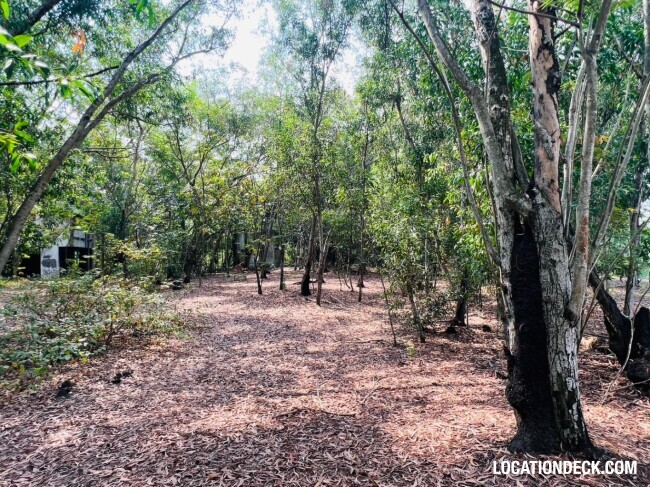 Country Garden Forest - Pathum Thani, Thailand Filming Location