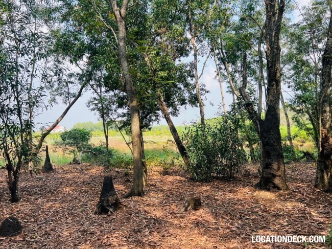 Country Garden Forest - Pathum Thani, Thailand Filming Location