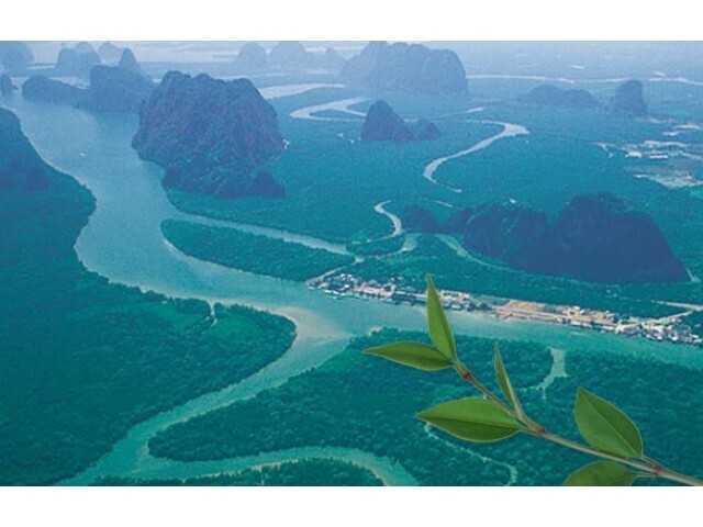 Ao Phang  Nga National Park - Phangnga, Thailand Filming Location