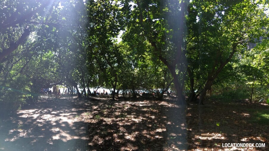 Rayavadee Jungle - Krabi, Thailand Filming Location