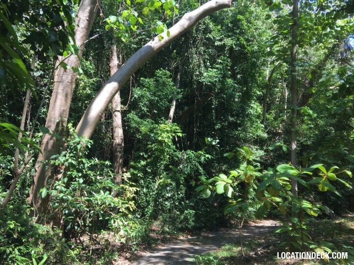 Rayavadee Jungle - Krabi, Thailand Filming Location