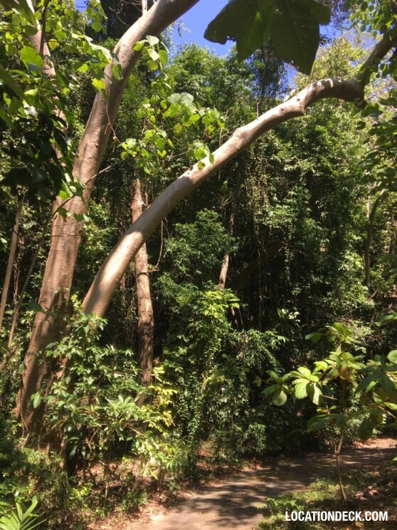 Rayavadee Jungle - Krabi, Thailand Filming Location