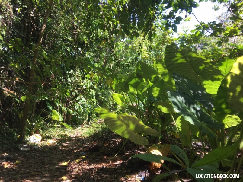 Rayavadee Jungle - Krabi, Thailand Filming Location