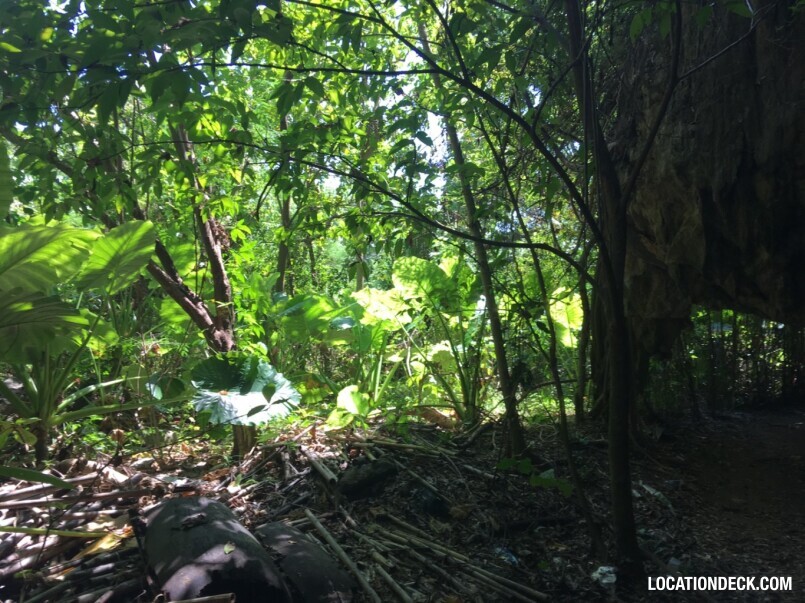 Rayavadee Jungle - Krabi, Thailand Filming Location