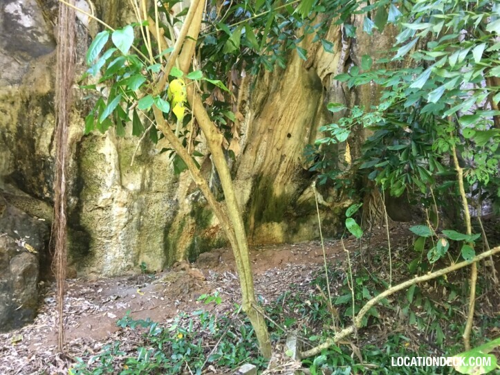 Rayavadee Jungle - Krabi, Thailand Filming Location