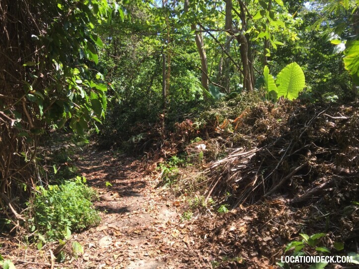 Rayavadee Jungle - Krabi, Thailand Filming Location