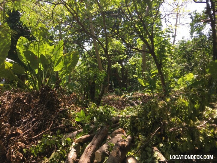 Rayavadee Jungle - Krabi, Thailand Filming Location