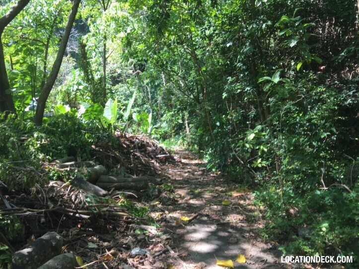 Rayavadee Jungle - Krabi, Thailand Filming Location