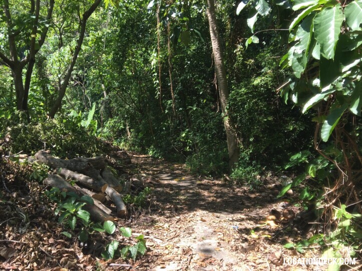 Rayavadee Jungle - Krabi, Thailand Filming Location