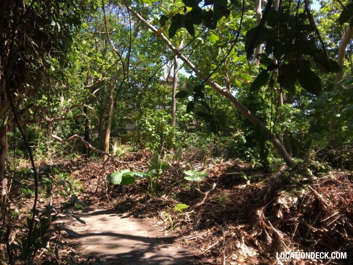 Rayavadee Jungle - Krabi, Thailand Filming Location