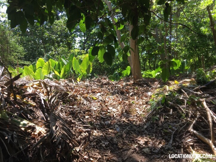 Rayavadee Jungle - Krabi, Thailand Filming Location