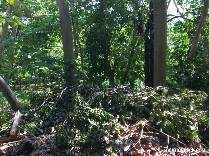 Rayavadee Jungle - Krabi, Thailand Filming Location