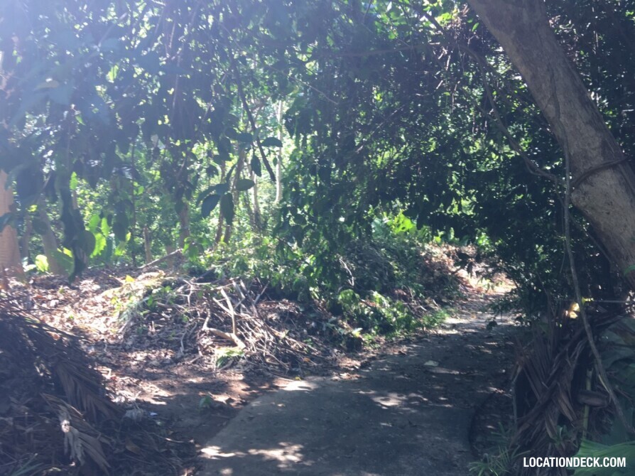 Rayavadee Jungle - Krabi, Thailand Filming Location