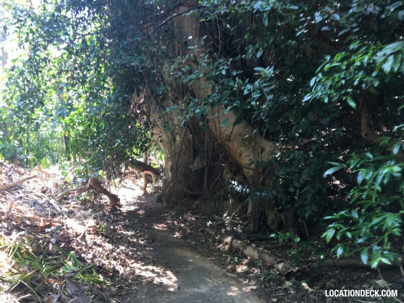 Rayavadee Jungle - Krabi, Thailand Filming Location