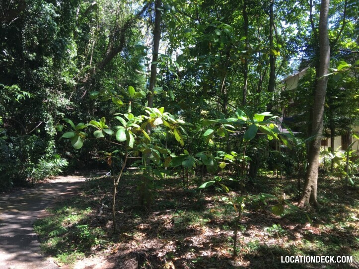 Rayavadee Jungle - Krabi, Thailand Filming Location