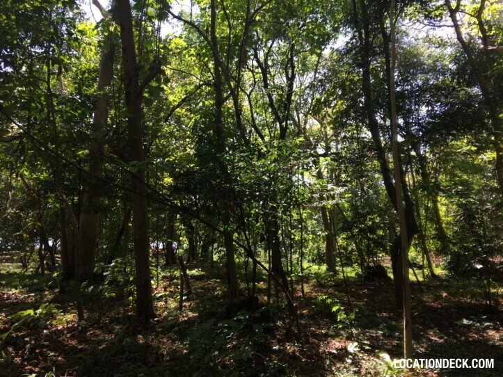 Rayavadee Jungle - Krabi, Thailand Filming Location