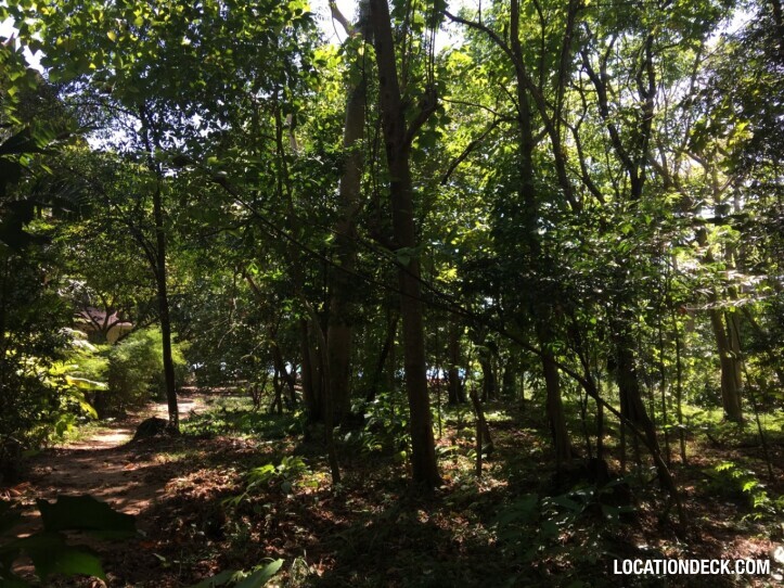Rayavadee Jungle - Krabi, Thailand Filming Location