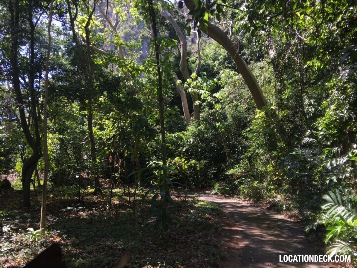 Rayavadee Jungle - Krabi, Thailand Filming Location