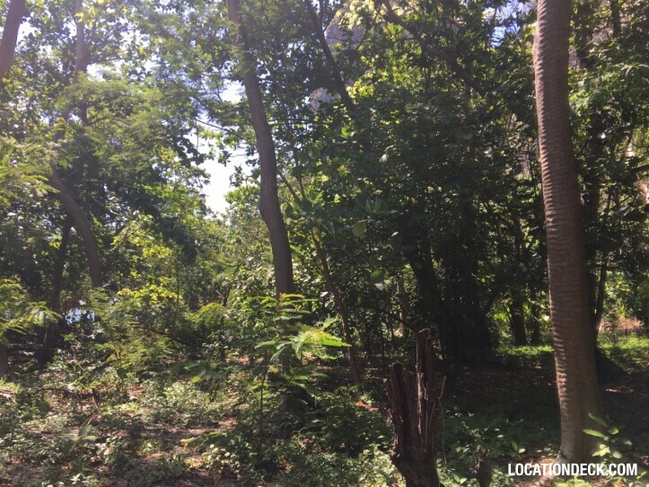 Rayavadee Jungle - Krabi, Thailand Filming Location