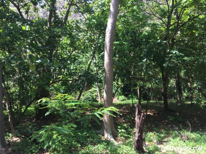 Rayavadee Jungle - Krabi, Thailand Filming Location