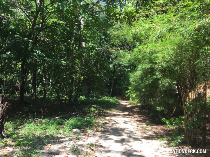Rayavadee Jungle - Krabi, Thailand Filming Location