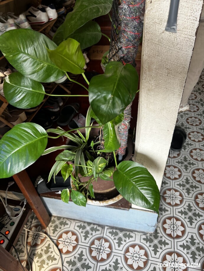 BAAN CHANASONGKRAM - Bangkok, Thailand Filming Location