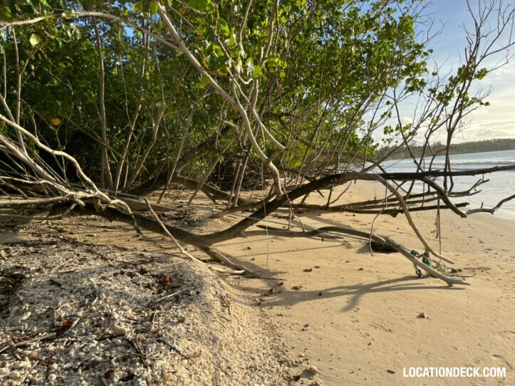 Coconut Beach - Phangnga, Thailand Filming Location