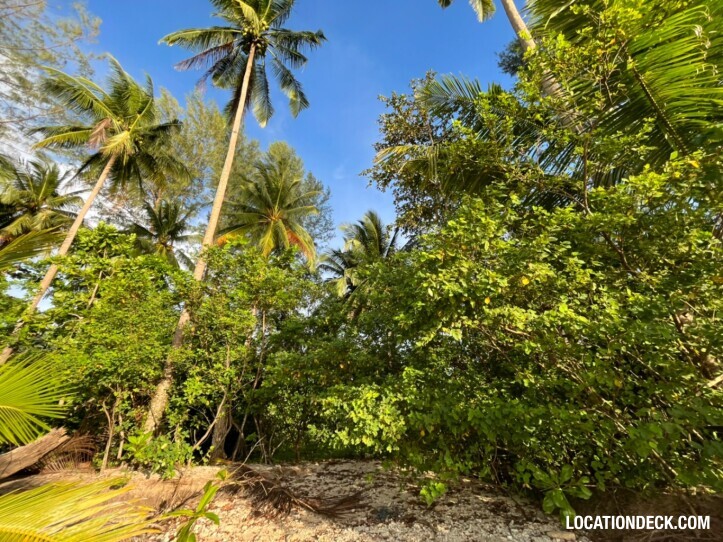 Coconut Beach - Phangnga, Thailand Filming Location