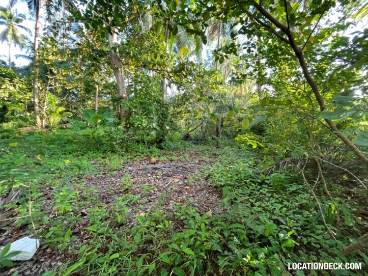 Coconut Beach - Phangnga, Thailand Filming Location