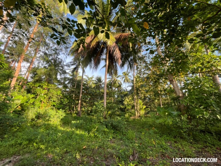 Coconut Beach - Phangnga, Thailand Filming Location